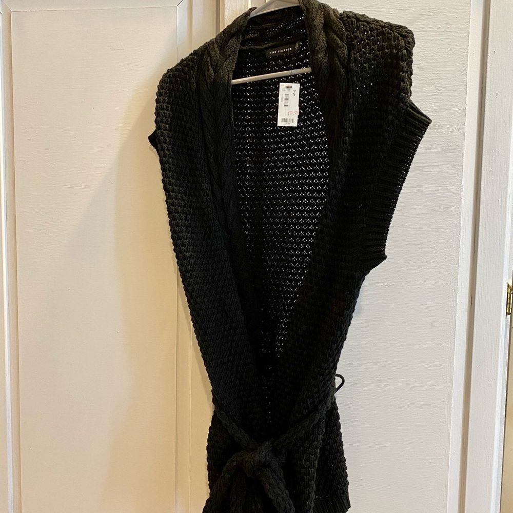 The Limited Sweater